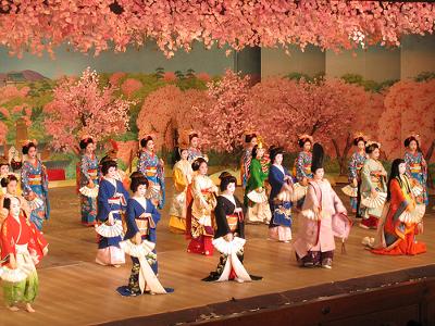 Japanese Cherry Dance in Kyoto