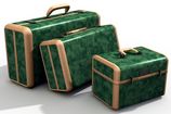 Green Luggage