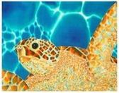 Sparkling Caribbean by Daniel Jean-Baptiste Turtle e-card