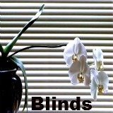 Blinds