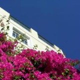 Bougainvillea villa