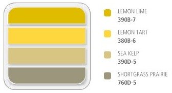 Yellow, Brown and Grey Color Scheme